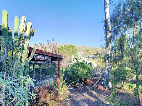 3140 Torreon Dr, Alpine, CA 91901 photo 20