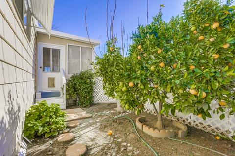 269 Lakeside Ln, Oceanside, CA 92056 photo 18