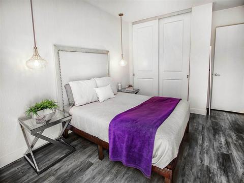239 Gloxina St, Encinitas, CA 92024 photo 14