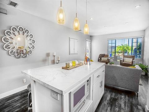 239 Gloxina St, Encinitas, CA 92024 photo 9
