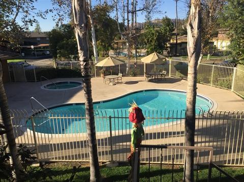 2041 E Grand Ave #17, Escondido, CA 92027 photo 24