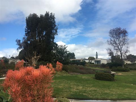 3837 Bayleaf Way, Oceanside, CA 92057 photo 20
