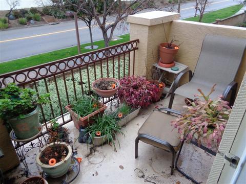 435 Whispering Willow #F, Santee, CA 92071 photo 16