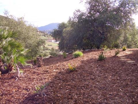 211 Bullard Ln, Alpine, CA 91901 photo 25