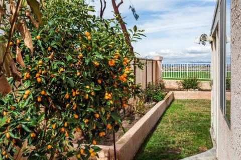 3156 San Helena Dr, Oceanside, CA 92056 photo 9