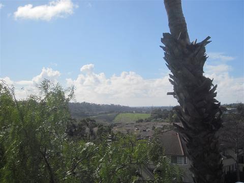3509 Paseo De Colombo #58, Oceanside, CA 92056 photo 18