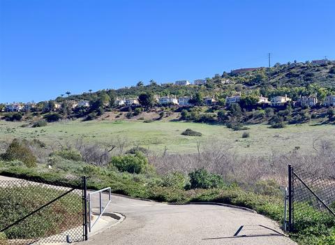 6232 Via Trato, Carlsbad, CA 92009 photo 24