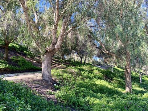 6232 Via Trato, Carlsbad, CA 92009 photo 22
