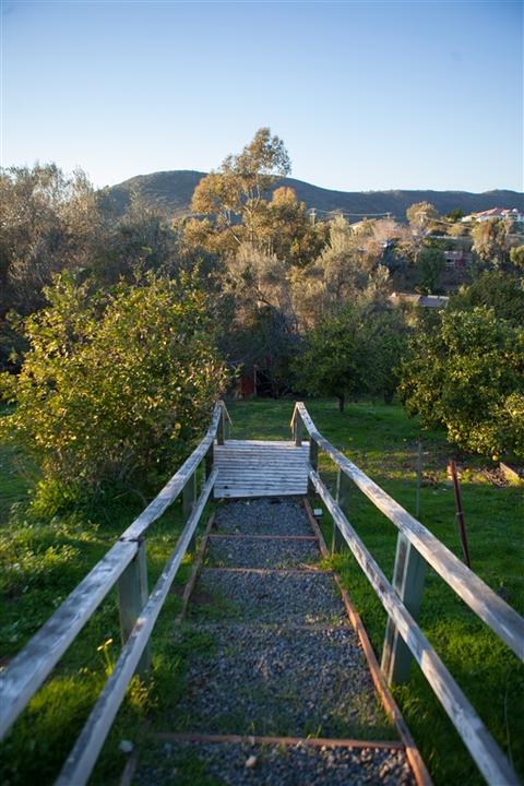 14367 Lyons Valley Rd, Jamul, CA 91935 photo 25