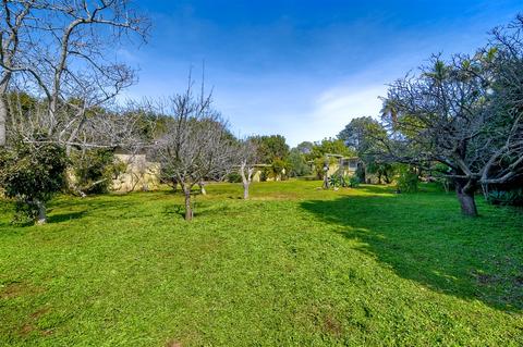 2717 Wilson, Carlsbad, CA 92008 photo 22