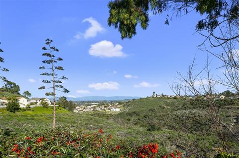 1348 Panorama Ridge Rd, Oceanside, CA 92056 photo 1