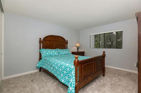 7311 Esfera St, Carlsbad, CA 92009 photo 17