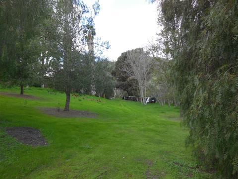 5556 Dehesa Rd, El Cajon, CA 92019 photo 16