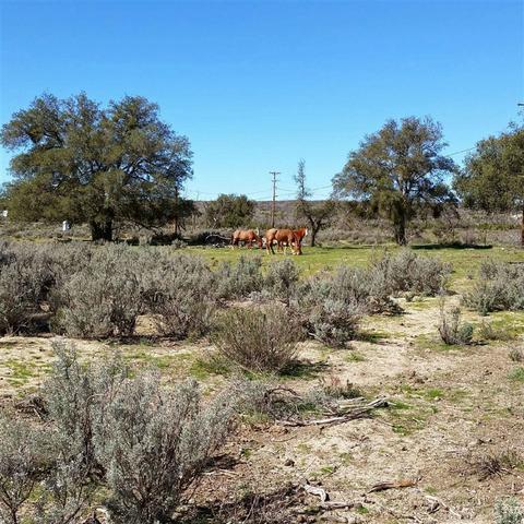 576 Tierra Del Sol Rd, Boulevard, CA 91905 photo 21