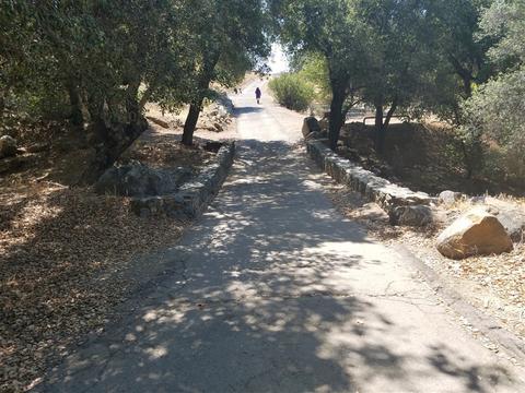 12345 Quail Rd, Descanso, CA 91916 photo 11