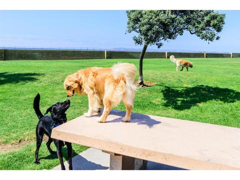 14 S Cays Ct, Coronado, CA 92118 photo 25