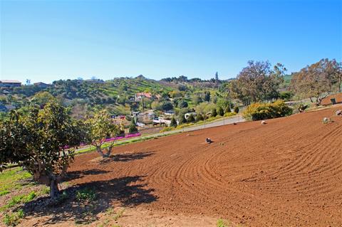31037 Via Puerta Del Sol, Bonsall, CA 92003 photo 23