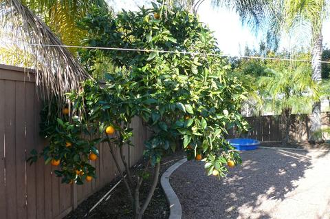 321 Natalie Way, Fallbrook, CA 92028 photo 9