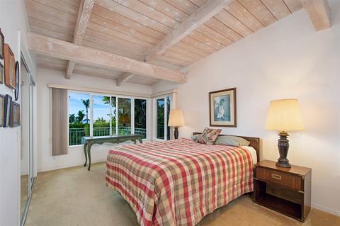 343 Via De Vis, Solana Beach, CA 92075 photo 18