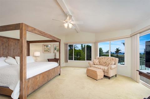 343 Via De Vis, Solana Beach, CA 92075 photo 16