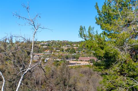 3178 Via De Caballo, Encinitas, CA 92024 photo 22