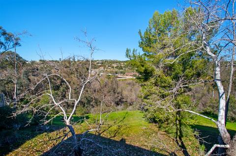 3178 Via De Caballo, Encinitas, CA 92024 photo 1