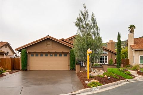 10127 Paseo Palmas Dr, Lakeside, CA 92040 photo 1