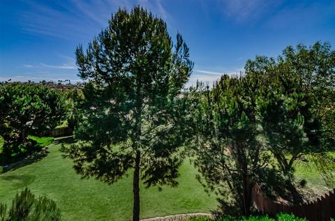 2733 Unicornio St, Carlsbad, CA 92009 photo 21