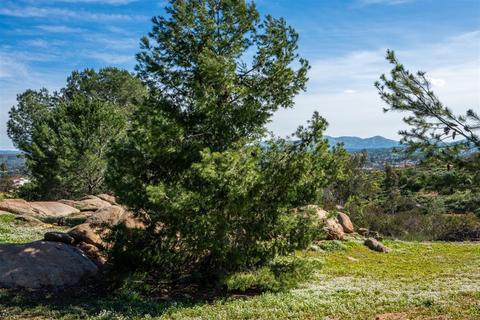 1121 Doomey Dr, Ramona, CA 92065 photo 23