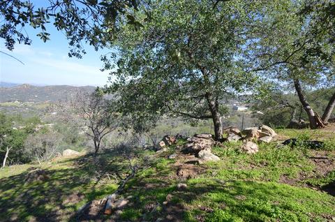 15519 Skyline Truck Trl, Jamul, CA 91935 photo 5