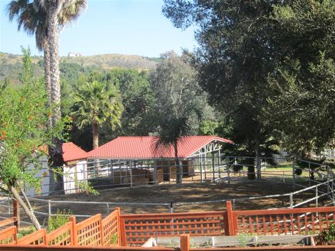 3309 Via Loma, Fallbrook, CA 92028 photo 4