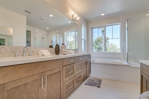 1129 Laurel Cove Ln, Encinitas, CA 92024 photo 19
