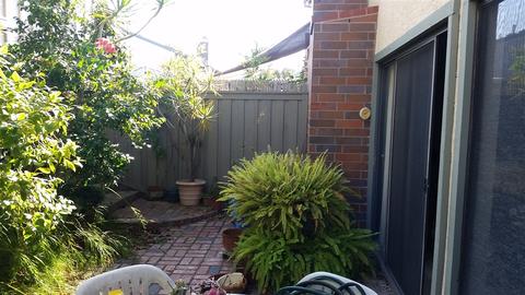 8255 Caminito Modena, La Jolla, CA 92037 photo 19