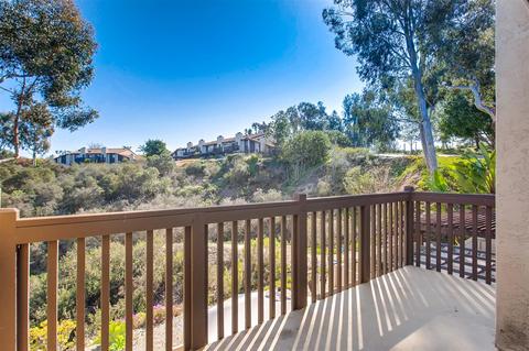 144 S Darien Dr, Encinitas, CA 92024 photo 17