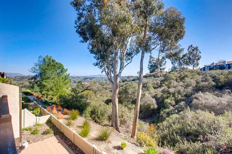 144 S Darien Dr, Encinitas, CA 92024 photo 20