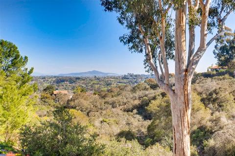 144 S Darien Dr, Encinitas, CA 92024 photo 21