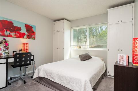 2518 Buena Rosa, Fallbrook, CA 92028 photo 19