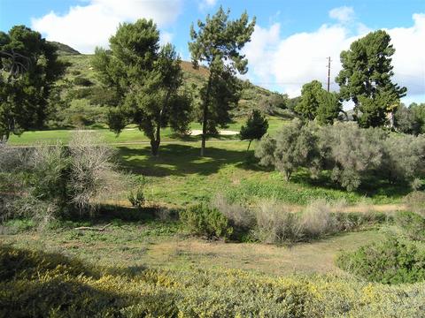 4332 Los Padres Dr, Fallbrook, CA 92028 photo 3
