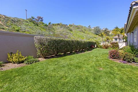 15785 Caminito Cantaras, Del Mar, CA 92014 photo 23