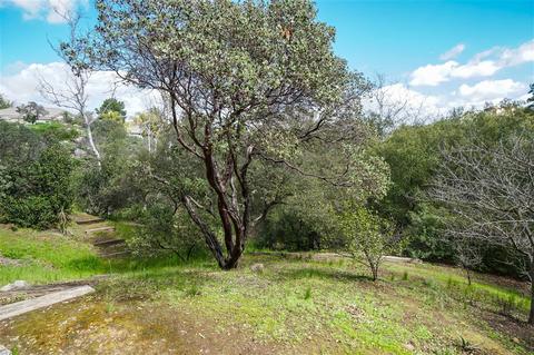 24020 Nectar Way, Ramona, CA 92065 photo 21