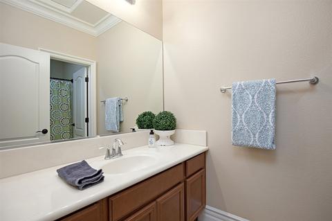9917 Leavesly Trl, Santee, CA 92071 photo 11