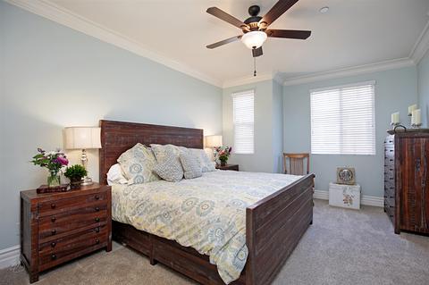 9917 Leavesly Trl, Santee, CA 92071 photo 15