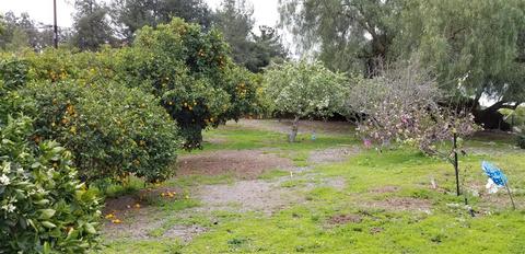 4264 Via El Dorado, Fallbrook, CA 92028 photo 22