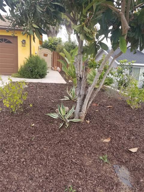 834 Arcadia Ave, Vista, CA 92084 photo 14