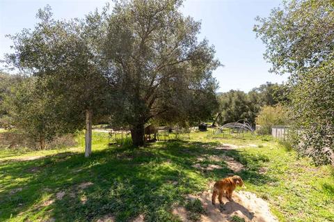 18146 Bunny Dr, Jamul, CA 91935 photo 10