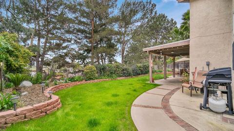 10503 Pine Grove St, Spring Valley, CA 91978 photo 20