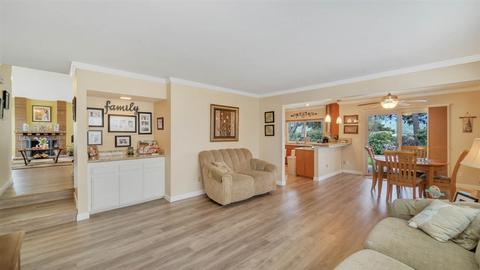 10503 Pine Grove St, Spring Valley, CA 91978 photo 10