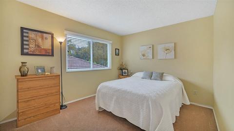 10503 Pine Grove St, Spring Valley, CA 91978 photo 16