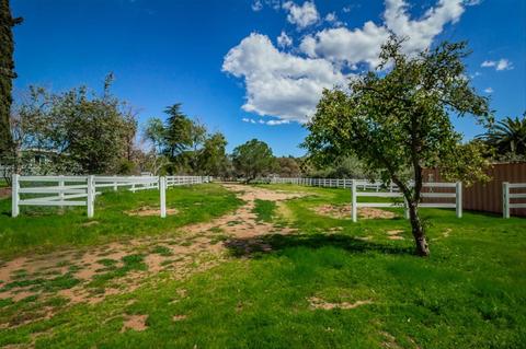 1254 Arnold Way, Alpine, CA 91901 photo 23