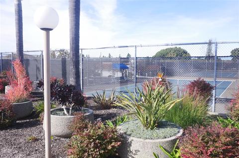 3518 Sky Haven Ln, Oceanside, CA 92056 photo 16